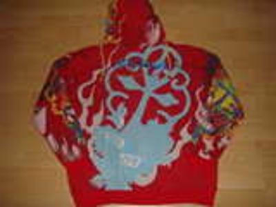 Ed Hardy Men Hoodies-70